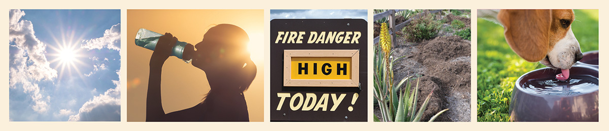 Heat Wave Article Header Graphic